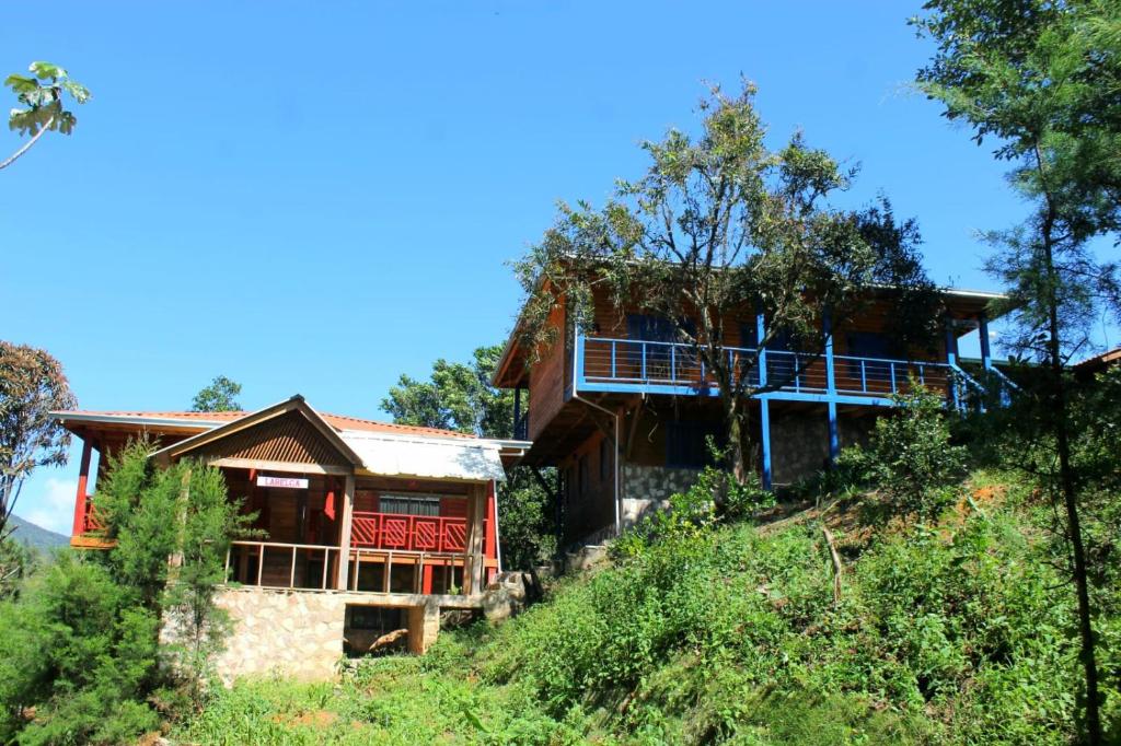 a house on the side of a hill with trees at Estancias Arroyazo in Constanza