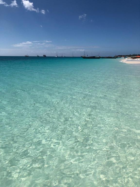 ケンドワにあるVilla Vanilla Kendwaのギャラリーの写真