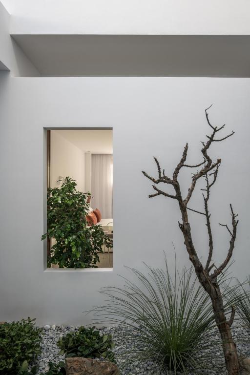 Zahrada ubytování Villa Mimaze Minimalist Living