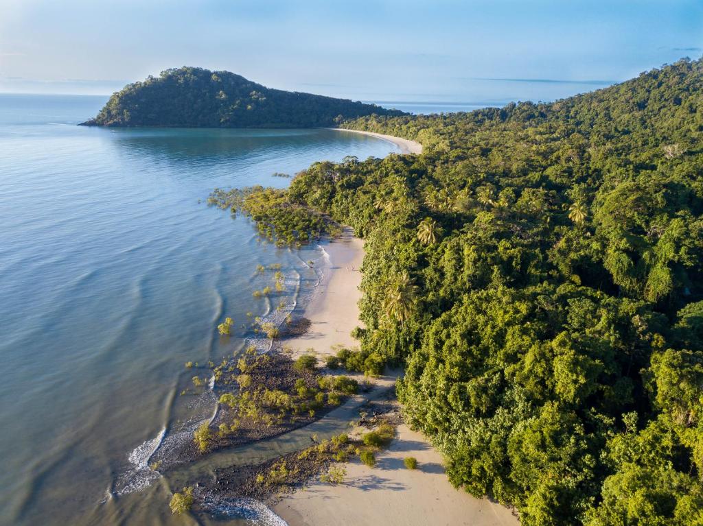 an aerial view of the shoreline of a beach at Cape Trib Beach House in Cape Tribulation