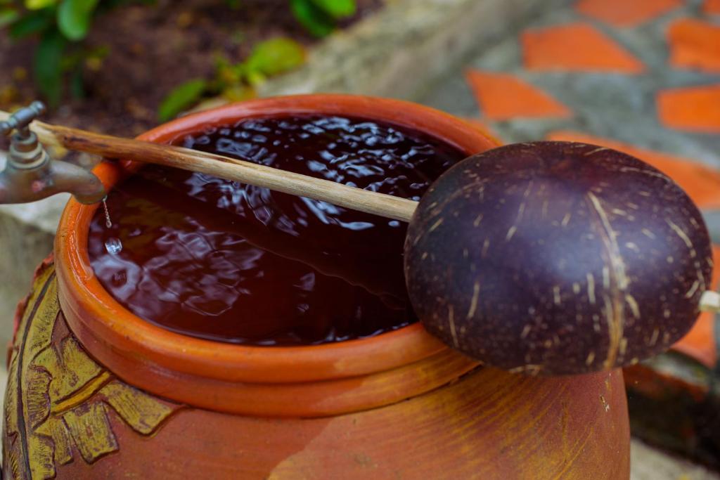 Kiki Coconut Beach Resort - 6