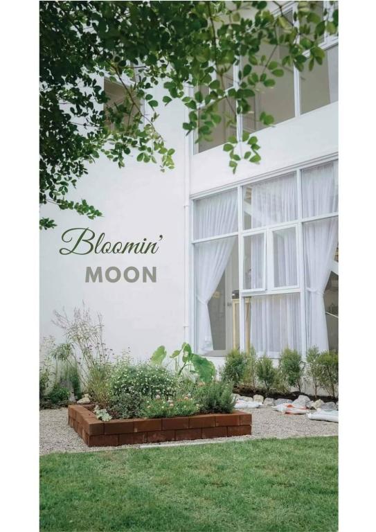 Bloomin' Moon hostel & cafe, Chiang Mai Old Town - 2