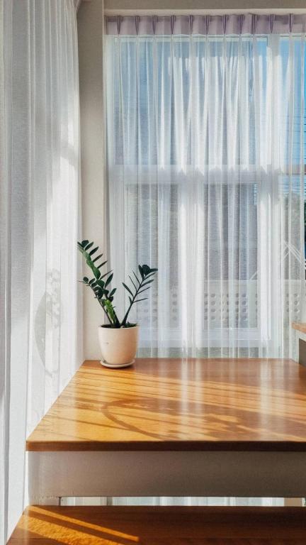 Bloomin' Moon hostel & cafe, Chiang Mai Old Town - 7