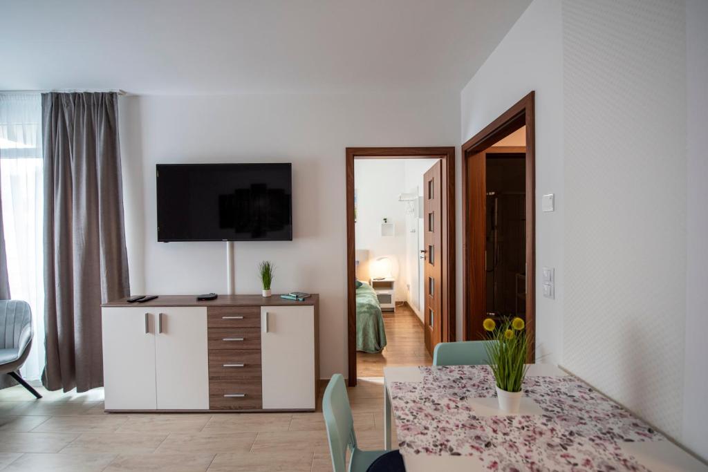 TV a/nebo společenská místnost v ubytování Lovely apartman- free parking