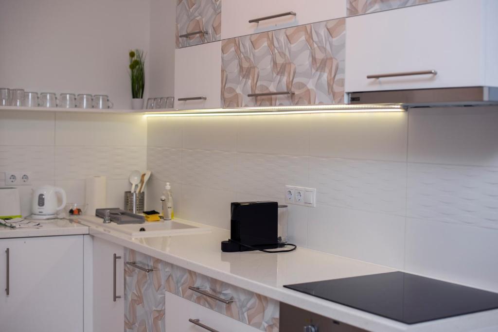 Kuchyň nebo kuchyňský kout v ubytování Lovely apartman- free parking