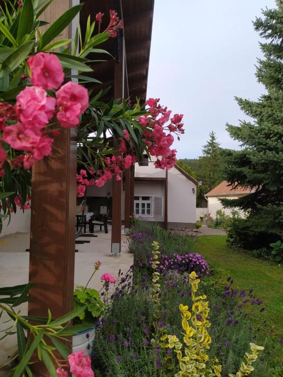 Zahrada ubytování Ribizli Vintage Vendégház