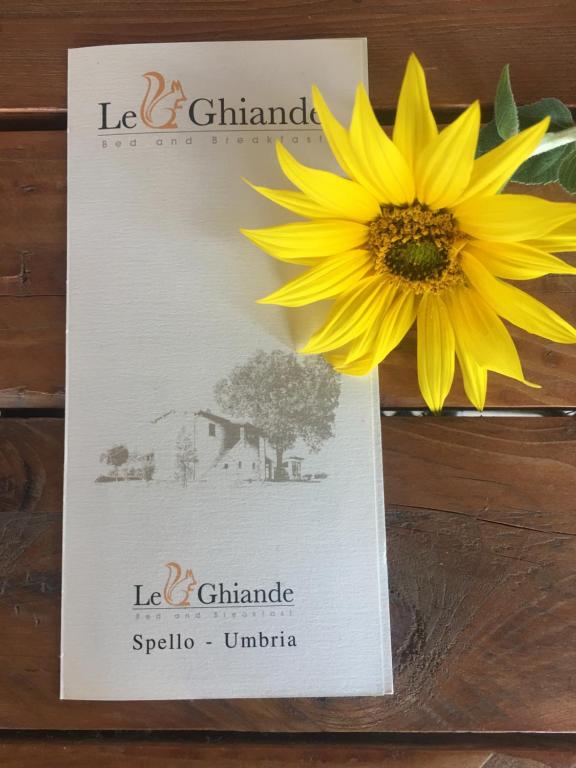 Fotografie z fotogalerie ubytování Le Ghiande v destinaci Spello