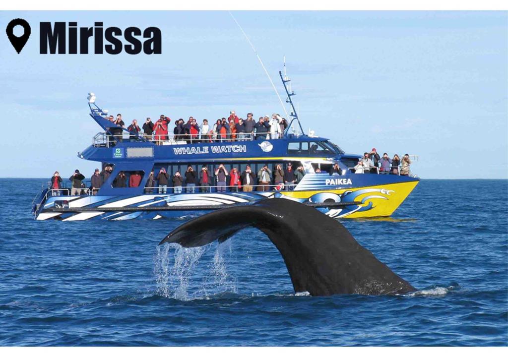 Příroda nedaleko ubytování v soukromí