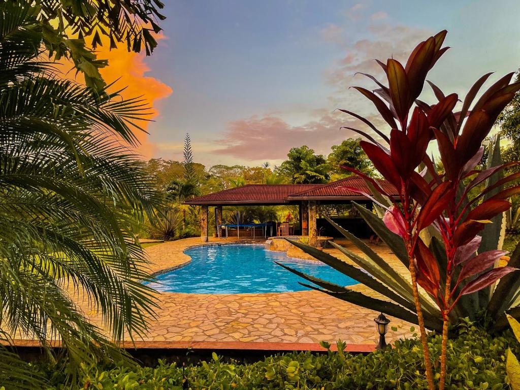 una piscina con cenador en un jardín en Private Tropical Paradise for a couple, en Cuipo