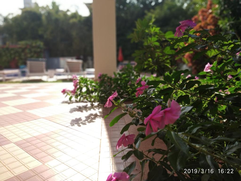 Zahrada ubytování Bluesea Beach Resort