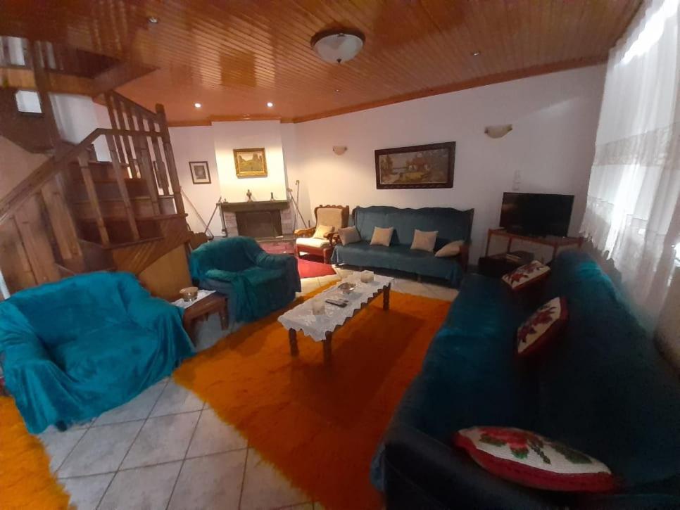 een woonkamer met blauwe banken en een televisie bij Tzoumerka in Ktistádes