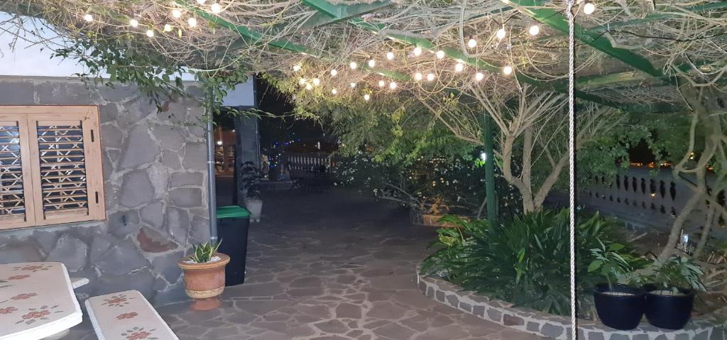Zahrada ubytování Casa Ramon B&B