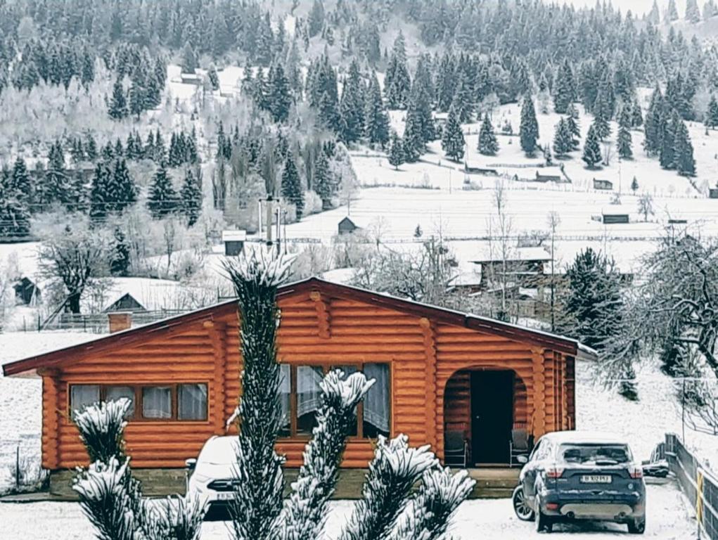 una cabaña de madera con un coche aparcado delante de él en Cabana Alesia, relaxare la poalele Raraului, en Câmpulung Moldovenesc