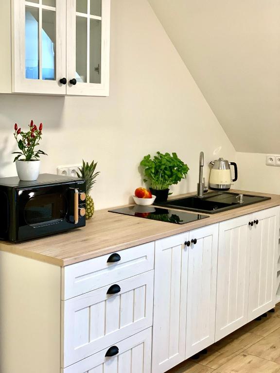 Kuchyň nebo kuchyňský kout v ubytování Apartmány Jetřichovice - České Švýcarsko
