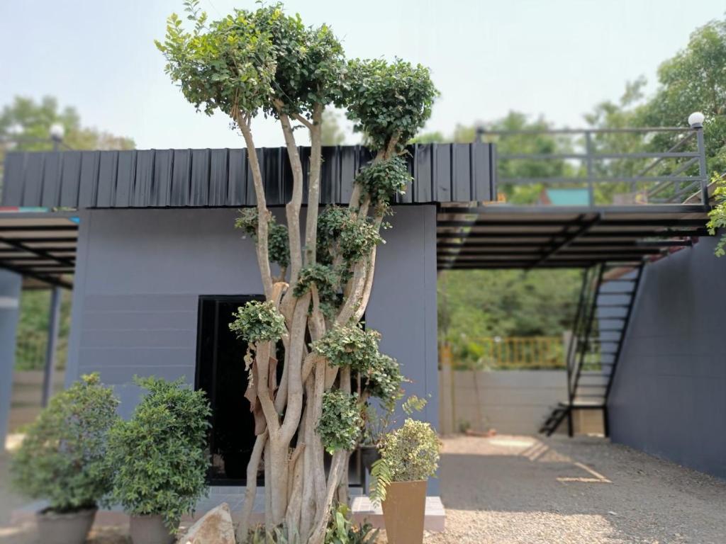 สกายวิวรีสอร์ท ชัยนาท - Salle Jumelle Supérieure