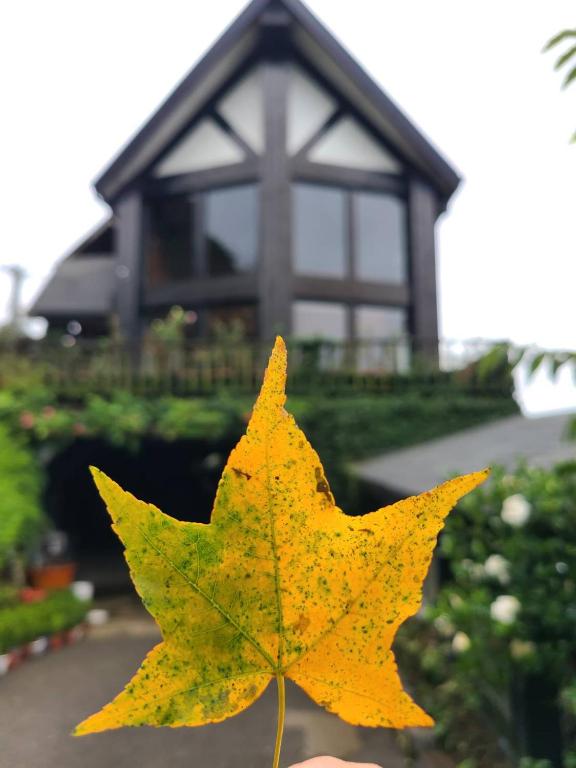 &#x96F2;&#x9802;&#x4F11;&#x9592;&#x5C71;&#x838A; &#x5BA4;&#x5916;&#x82B1;&#x5712;