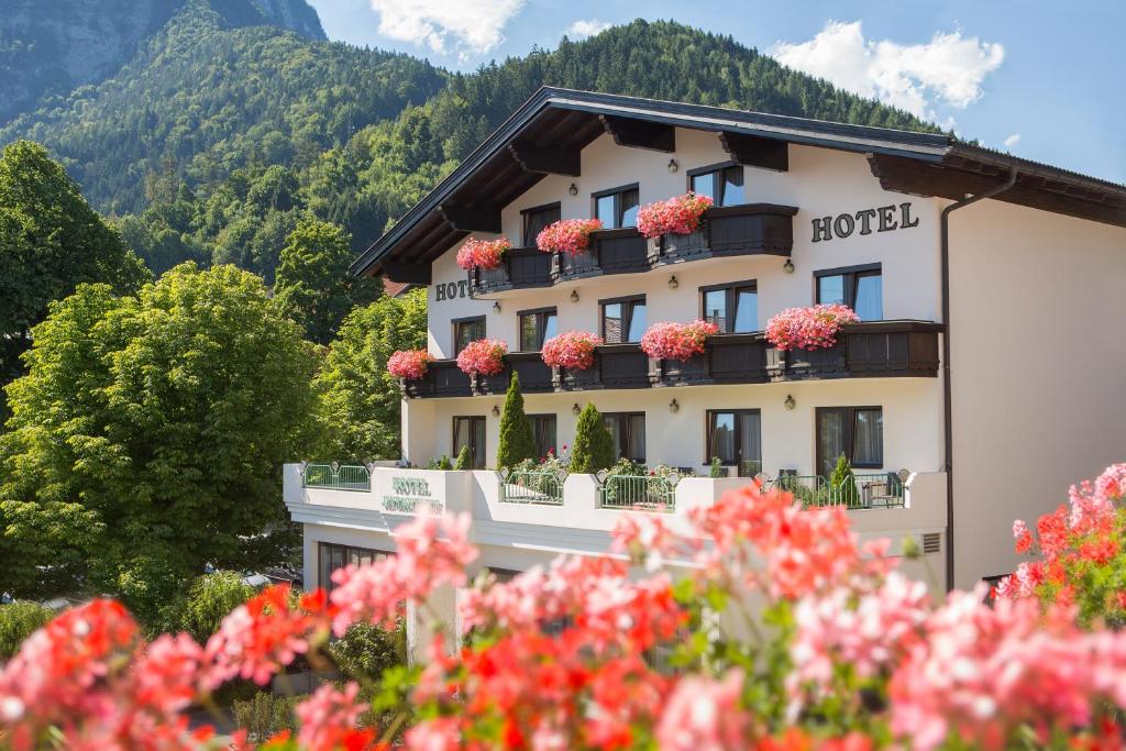 Nespecifikovaný výhled na hory nebo výhled na hory při pohledu z hotelu
