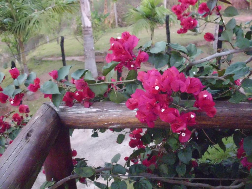  Casa Estrelada