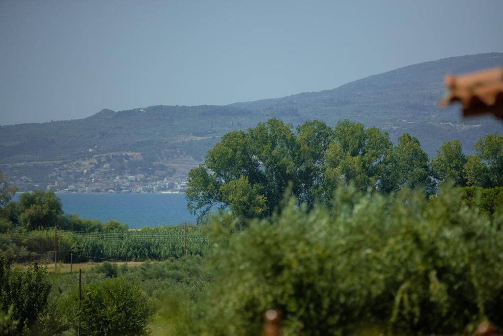 uma vista para um lago e um monte de árvores em At The Messinian's Bay em Velíka