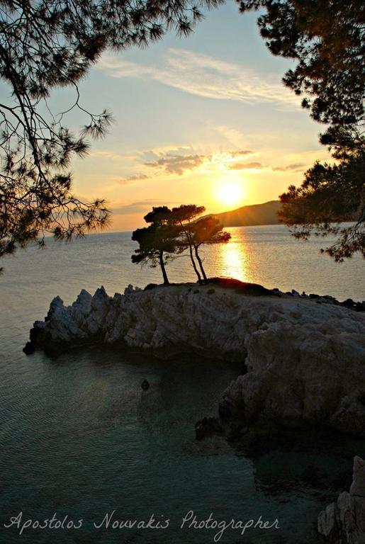 a tree on a island in the water at sunset at Vithos in Agnontas