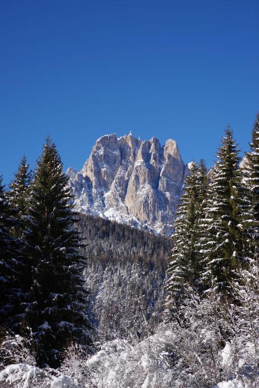 Vista generica sulle montagne o vista sulle montagne dall'interno del bed & breakfast