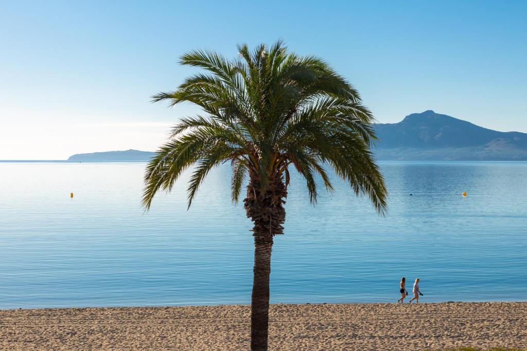 Booking.com: Villa Ignaci , Pollensa, España - 7 Comentarios ...