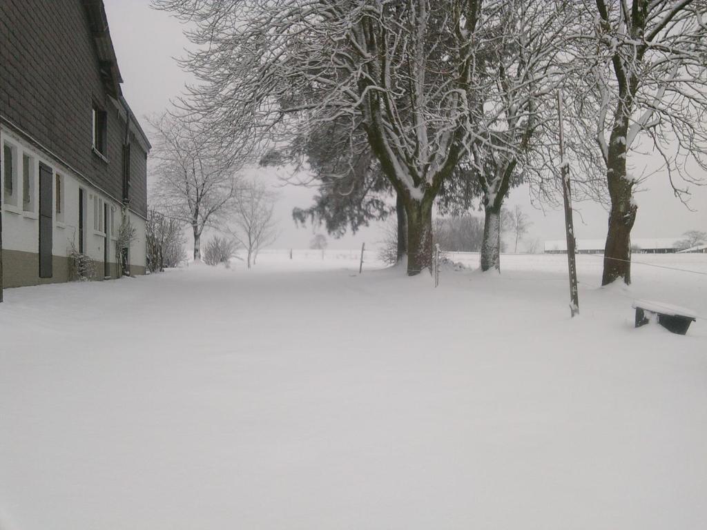 Gîte aux prés de mon père v zimě