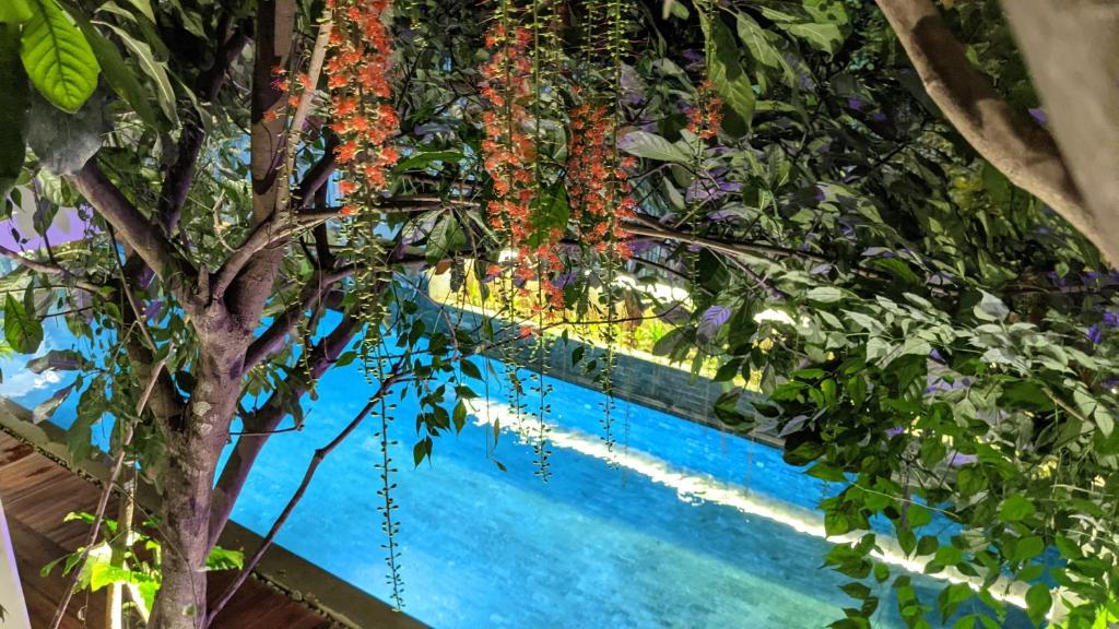 a tree with flowers hanging over a swimming pool at Sarina Hotel & Villa in Phnom Penh