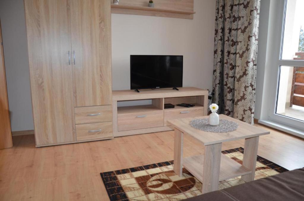 TV a/nebo společenská místnost v ubytování Apartmán Pleso, Štrbské Pleso