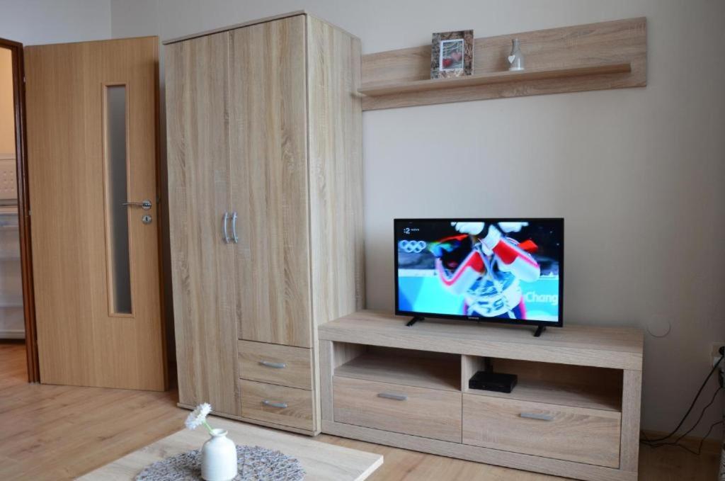 TV a/nebo společenská místnost v ubytování Apartmán Pleso, Štrbské Pleso