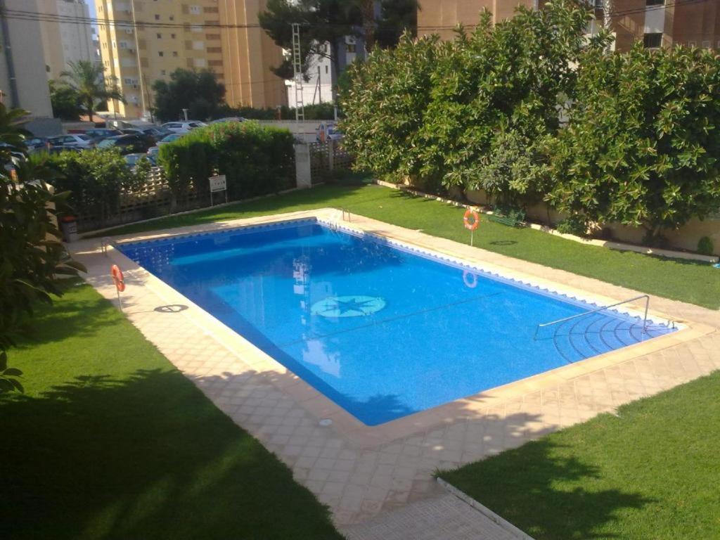 une grande piscine bleue dans une cour dans l'établissement Acacias IV, à Benidorm