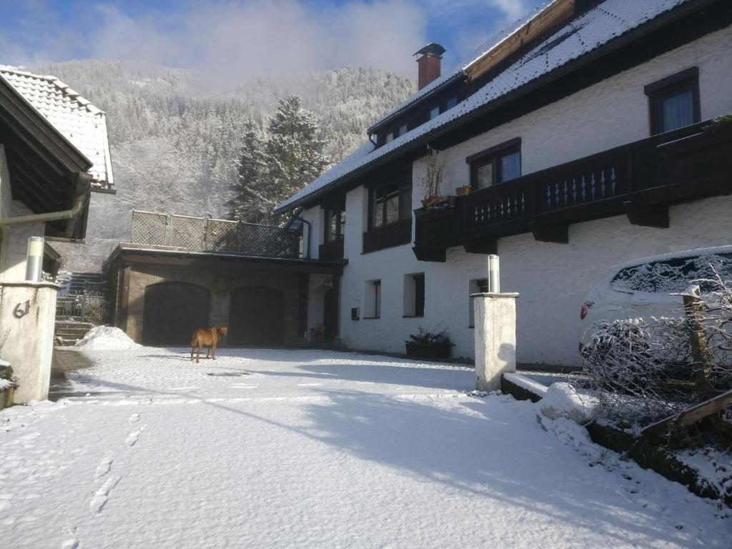 Alpenblick FeWo Hauser pozimi
