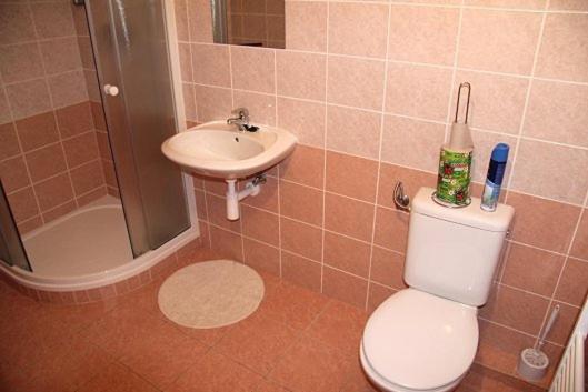 Apartmany U Ády - 15