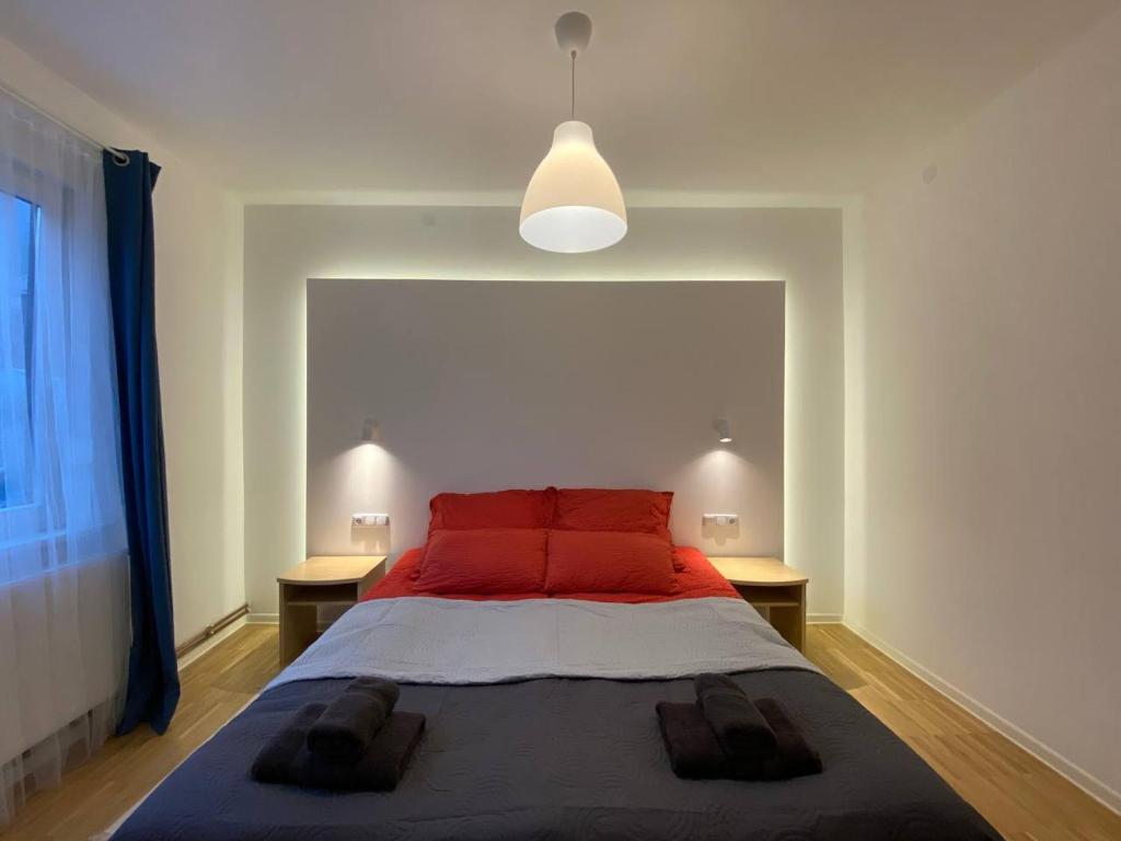 a bedroom with a large bed with red pillows at Ferienhaus Art Apartment - Harz in Zorge