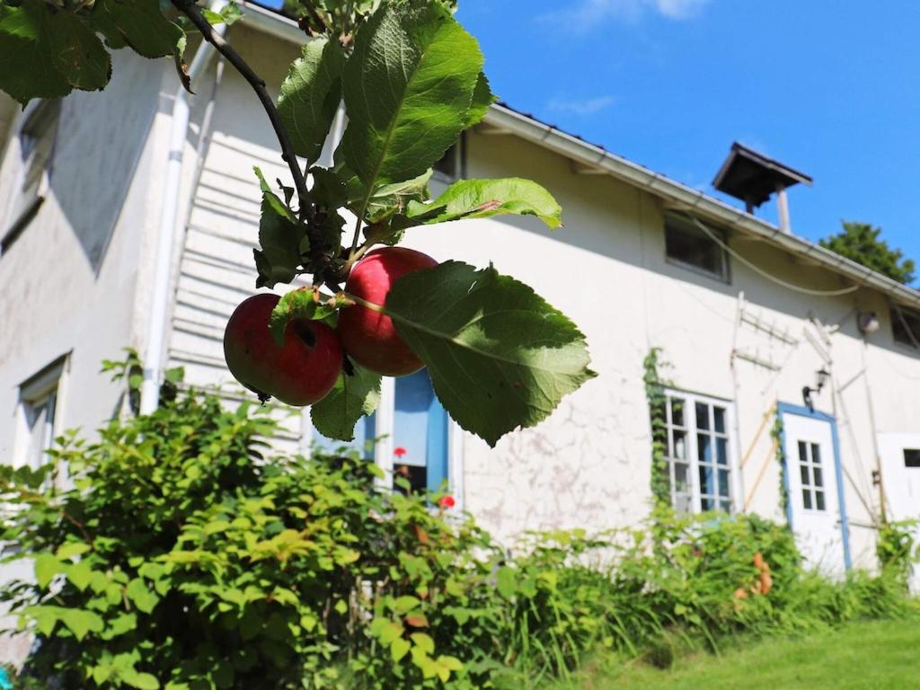 a bunch of apples on a tree in front of a house at 6 person holiday home in STRA NTERVIK in Östra Ämtervik