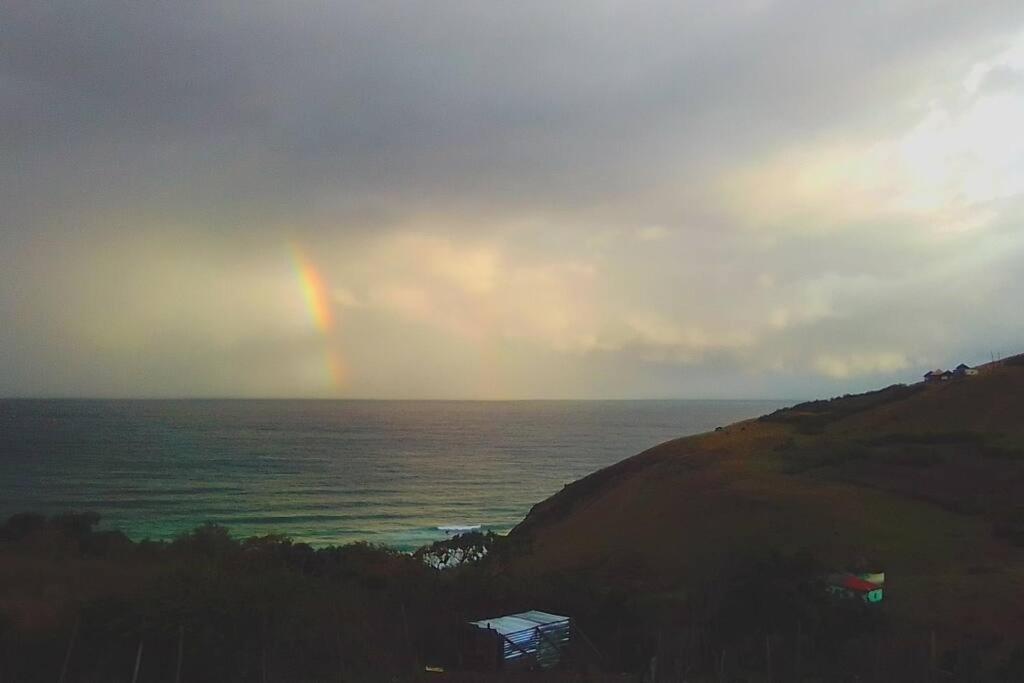 Theres a Rainbow in the Sky, Don't be Blind - Ziggy Marley