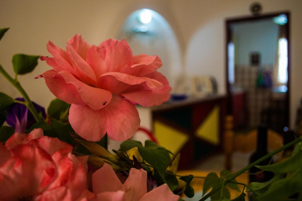 Fotografie z fotogalerie ubytování Agathi Beach House (Black Rocks) v destinaci Agios Gordios