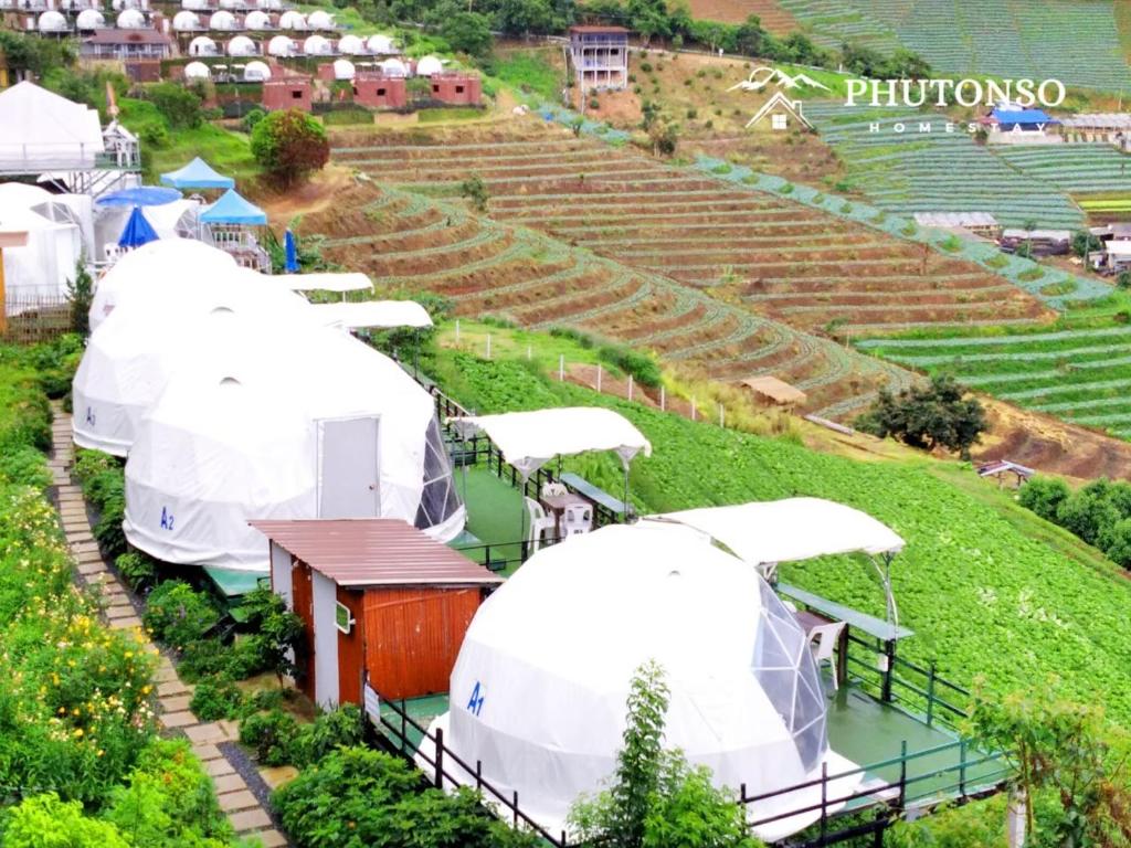 清邁的住宿－Phutonso Homestay，田野上的一组白色帐篷