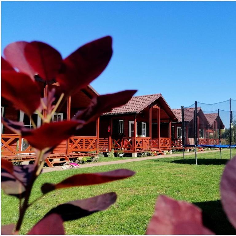a house with a red flower in front of it at Morena in Rusinowo