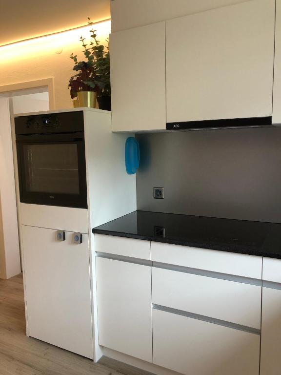 Kuchyň nebo kuchyňský kout v ubytování Ferienwohnung Rapperswil