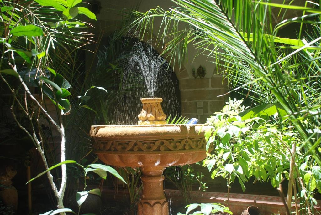 una fuente en medio de un jardín con plantas en Riad Arambys, en Essaouira