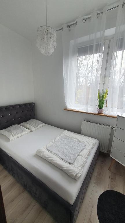 Willa Nad Potokiem - 7