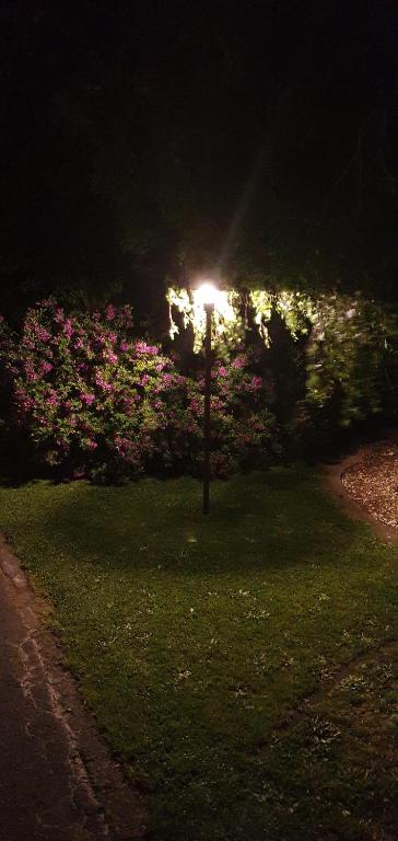 Maple Lodge Motel - Resim 44