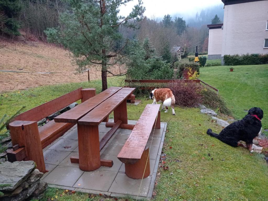 Zahrada ubytování Horský apartmán Krkonoše