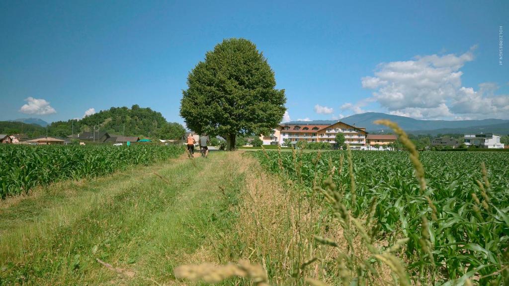 two people walking down a dirt road in a field at Hotel Pachernighof in Velden am Wörthersee