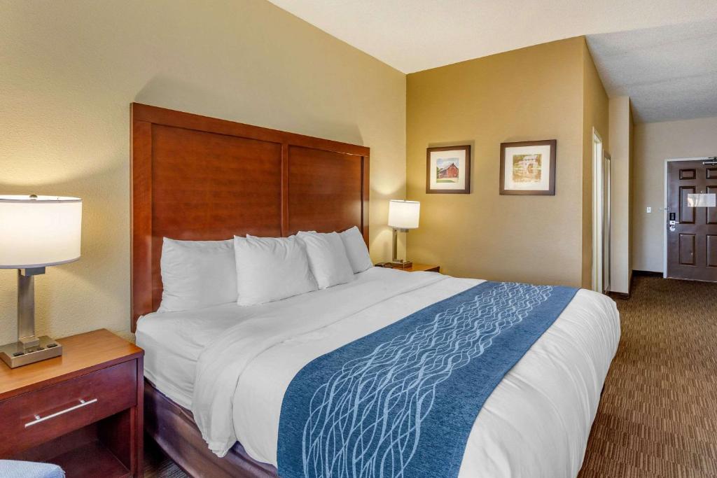 Comfort Inn Rockford near Casino District - Habitación Con Cama Extragrande - No Fumadores
