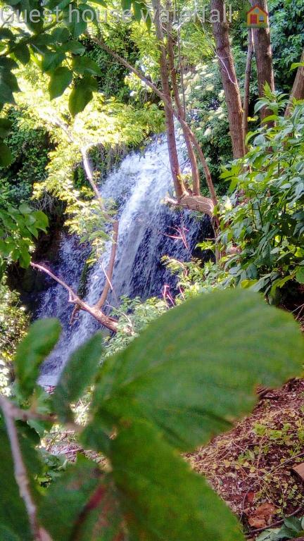 Fotografie z fotogalerie ubytování Guest House Waterfall v destinaci Eptalofos