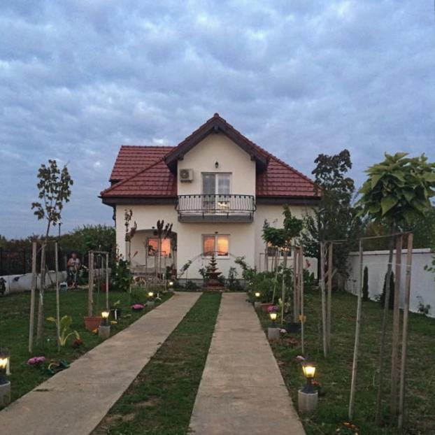 a white house with a pathway leading to it at Blue Sky House in Baloteşti