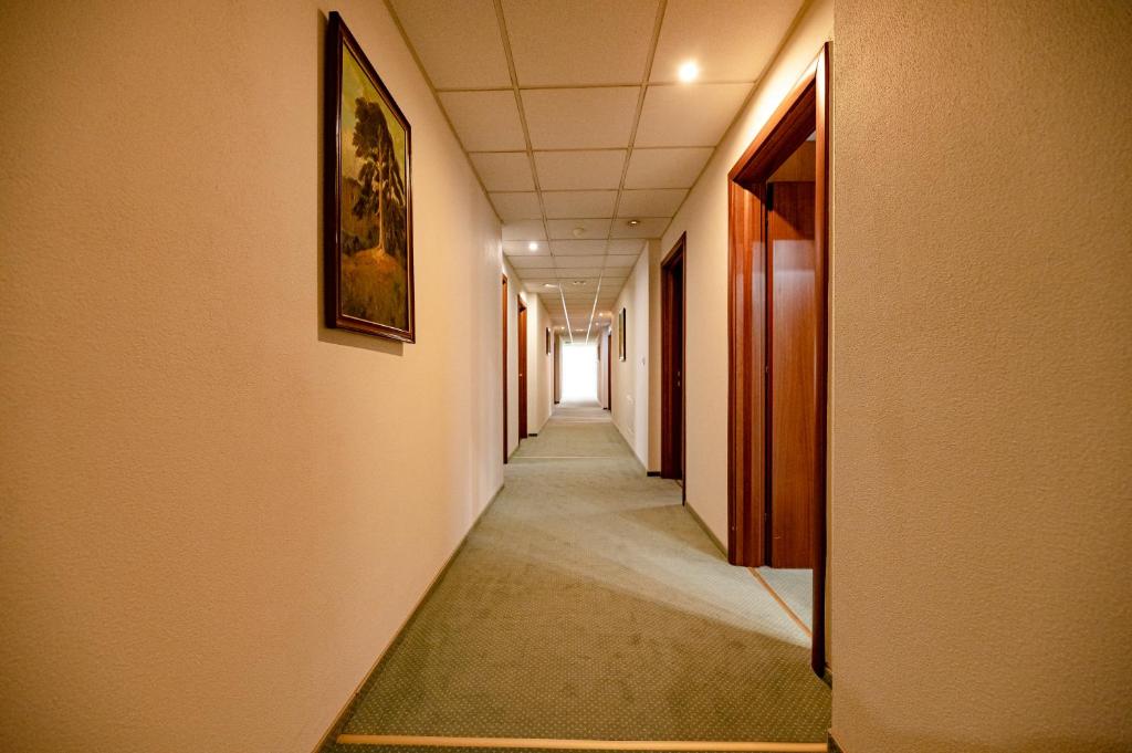 Fotografie z fotogalerie ubytování Hotel Rivulus v destinaci Baia Mare