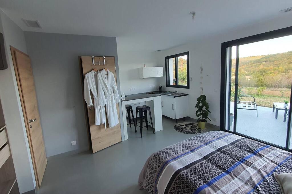 1 dormitorio con cama, escritorio y ventana en Studio indépendant vue magnifique et au calme, en Crest